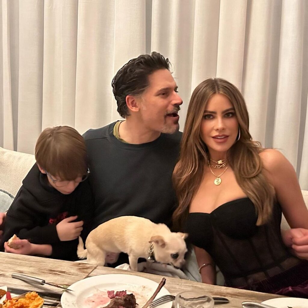 Sofía Vergara and Joe Manganiello divorcing